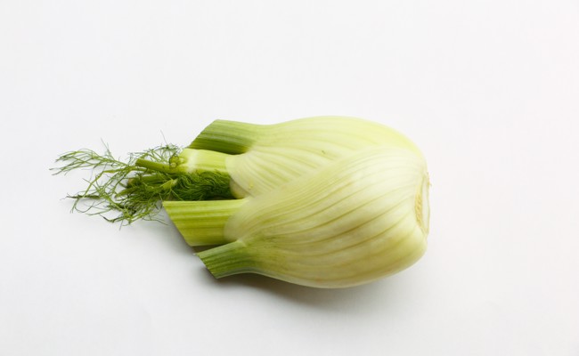 Fenchel anbauen: Tipps gegen sein Schiessen und sein polarisierender Geschmack
