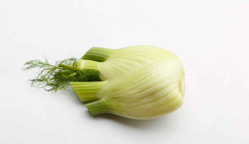 Fenchel anbauen: Tipps gegen sein Schiessen und sein polarisierender Geschmack