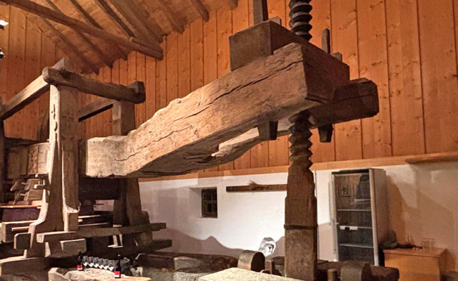 Historischer Torkelbaum geht offiziell in Gemeindebesitz über