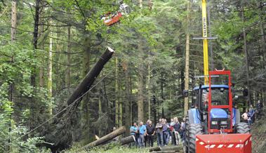 Treffen der Räte im Wald