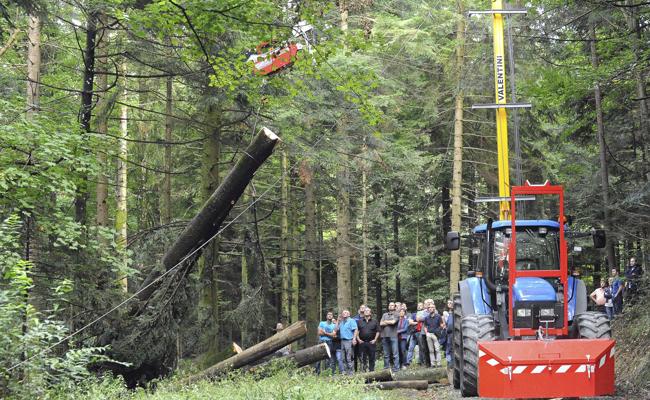 Treffen der Räte im Wald