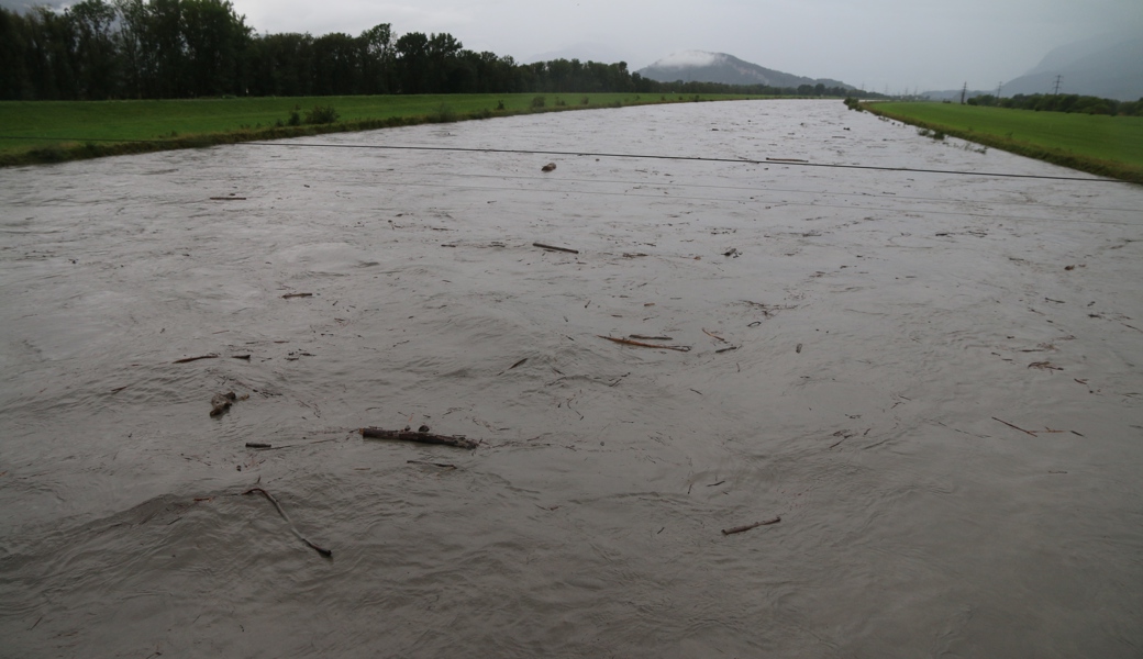 Der Rhein führt grosse Mengen Holz.