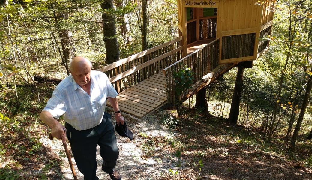 Die Wald-Gesundheitsbox steht wie auf Stelzen über dem Abhang. Hinein kommt man über eine schmucke Holzbrücke.