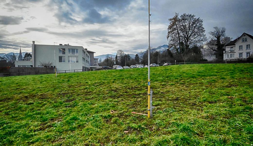 Der Modulbau fürs Altersheim Haus Blumenfeld kommt an die Heidenerstrasse zu stehen, in die Wiese neben dem Altersheim Haus Viva.