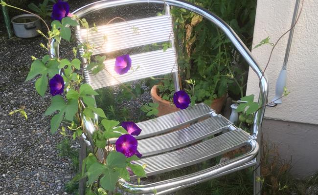 Winde umschlingt Gartenstuhl