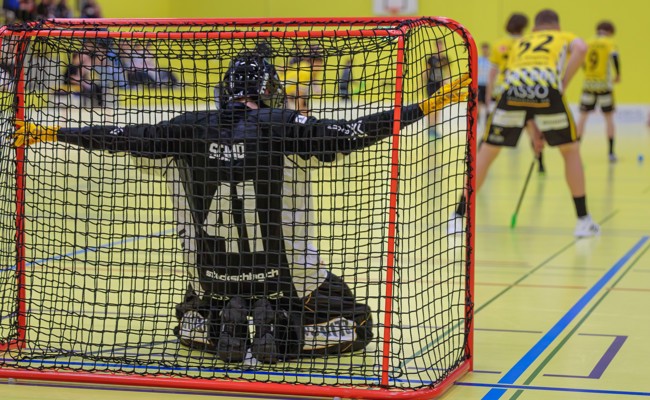 Rheintal Gators starten mit dem Derby gegen Herisau ins neue Jahr