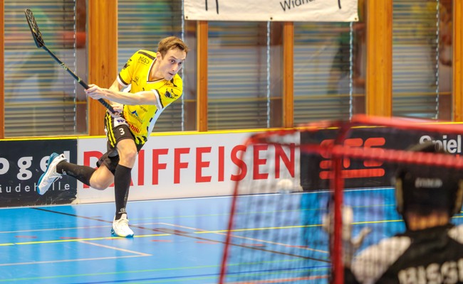 Gators und SC Rheintal gewinnen ihre letzten Spiele des Jahres