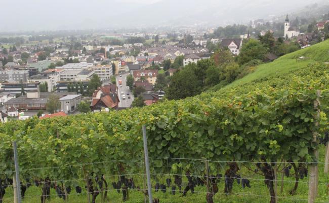 Rebbauern nicht im Stich lassen