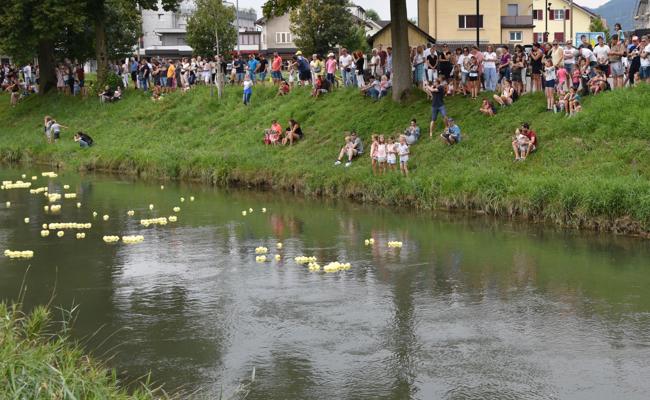 Ein Kanal voller Entchen