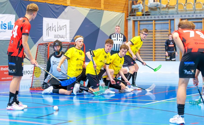 Die Gators stehen im Schweizer Cup vor einer Pflichtaufgabe