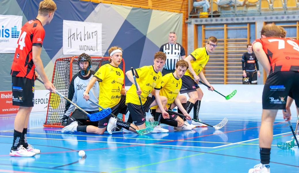 Die Gators stehen im Schweizer Cup vor einer Pflichtaufgabe