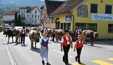 Sennische Alpabfahrt in Eichberg
