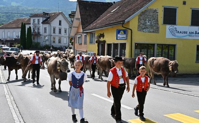 Sennische Alpabfahrt in Eichberg