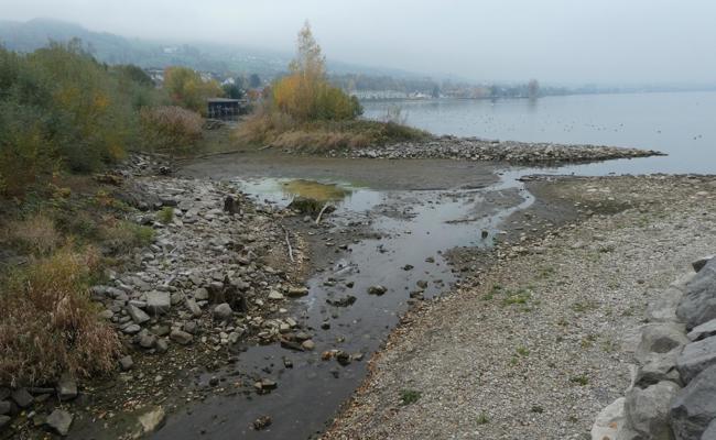 Immer weniger See