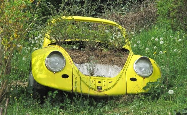 Im Garten gelandet – mit voller Absicht