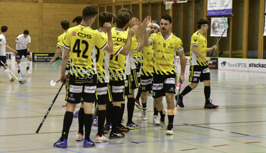 Die Rheintal Gators ziehen auf dem Sofa in die Playoffs ein