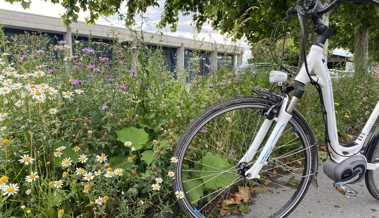 Digitales Naturerlebnis: Stadt verbindet besondere Öko-Flächen durch Veloroute