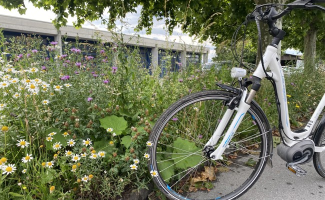 Digitales Naturerlebnis: Stadt verbindet besondere Öko-Flächen durch Veloroute