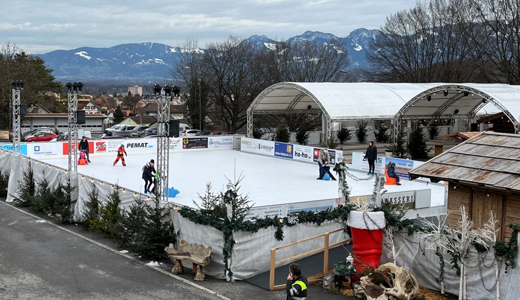 Das Publikum akzeptierte die synthetische Eisfläche. Auch wenn der Spassfaktor etwas litt.