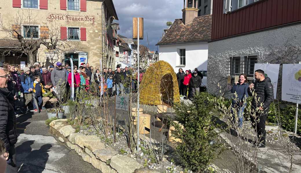 Die insgesamt elf aufwendig gestalteten Anlagen werten die Altstadt erheblich auf.