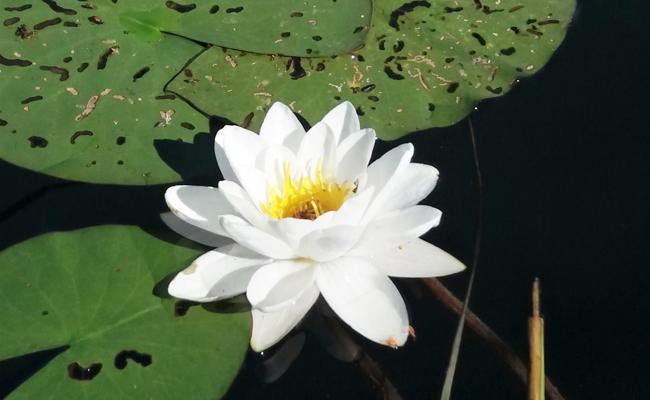 Aus christlicher Sicht: Getragen vom Wasser