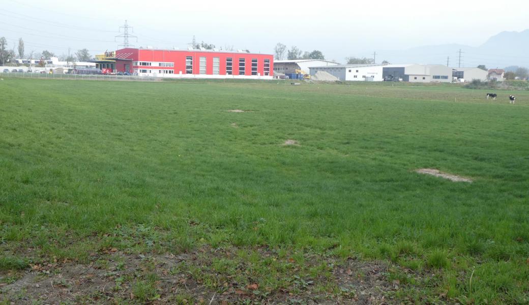 Felbenmaadbüchel 