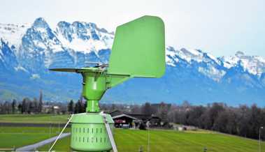 Frühling im Januar: Messstation dokumentiert bereits Pollenflug
