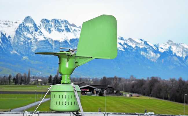 Frühling im Januar: Messstation dokumentiert bereits Pollenflug