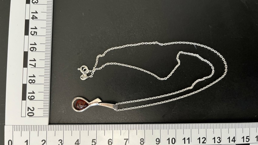 Sicherstellung E 1.23 Halskette Sicherstellung E 1.23 Halskette