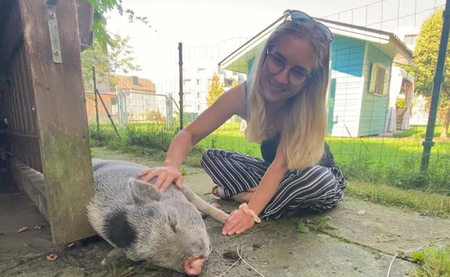 «Die Minischweine folgen uns auf Schritt und Tritt»