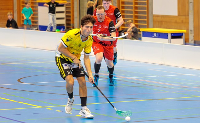 Rheintal Gators entscheiden Derby in Appenzell 8:2 für sich