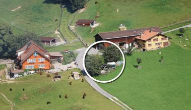 Der Kanton zieht die Unordnung vor