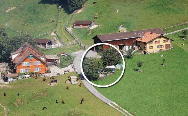 Der Kanton zieht die Unordnung vor