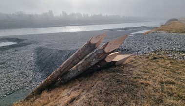 Sperrung am Rheinvorland: Darum werden acht Meter lange Holzpfähle in den Fluss gerammt