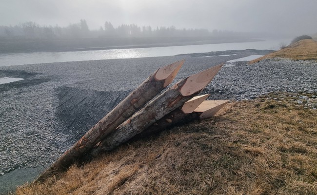 Sperrung am Rheinvorland: Darum werden acht Meter lange Holzpfähle in den Fluss gerammt