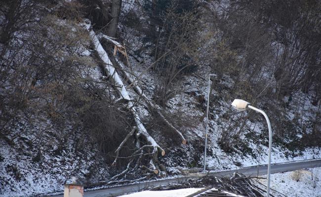 Unterhalt des Waldes ist Pflicht