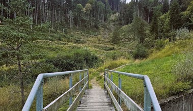 Der erste Altstätter Berglauf ist jetzt schon ausverkauft