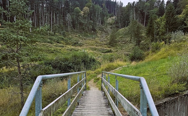 Es kann gar nicht zu garstig sein: Aus dem Berg- einen Matschlauf machen