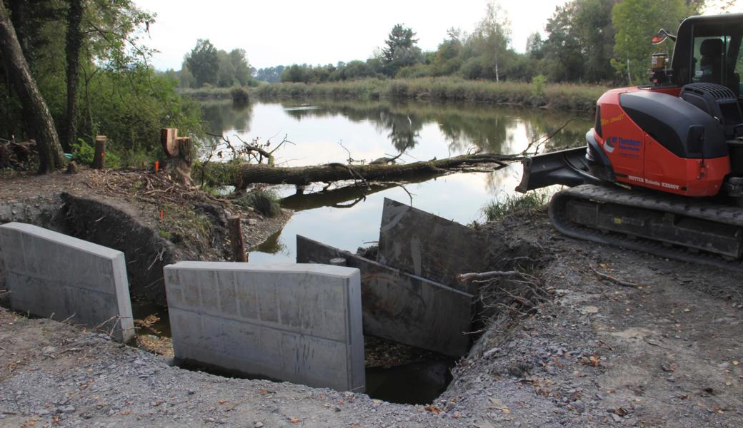 Am östlichen Ende des Moosangersees entsteht ein Regulierwerk auf Beton, das es erlauben wird, den Wasserstand zu regulieren. Im Herbst wird der Wasserstand im Ried für die Pflege gesenkt.