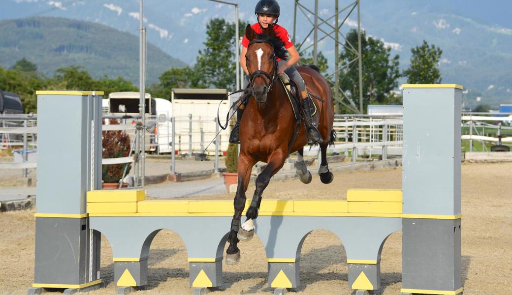 Linus Hanselmann mit For Me von Wichenstein. Das Pferd, mit dem er an der EM in Fontainebleau an den Start geht, hat den gleichen Jahrgang wie er: 2004.