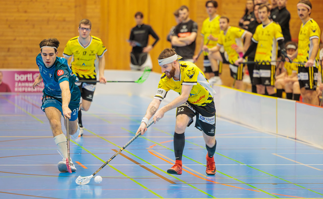8:5 gegen Glattal: Gators gewinnen zum sechsten Mal in Serie