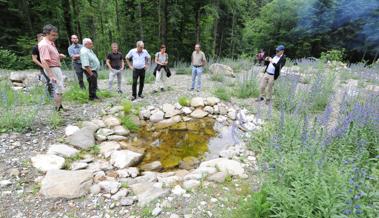 Neuer Wohnraum für Amphibien