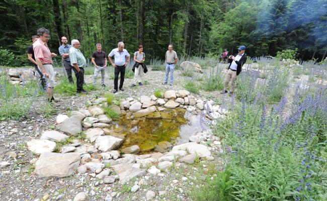 Neuer Wohnraum für Amphibien