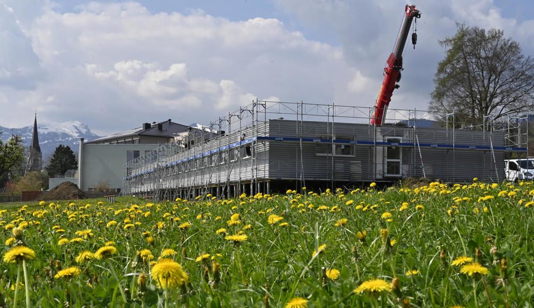 Das Provisorium fürs Altersheim Haus Blumenfeld wird momentan tatsächlich in ein Blumenfeld hinein gebaut. Voraussichtlich im Juli kann der Pavillon bezogen werden.