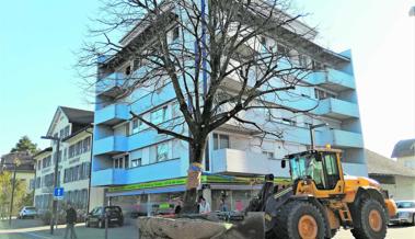 Ein Baum zügelt durch das Dorf