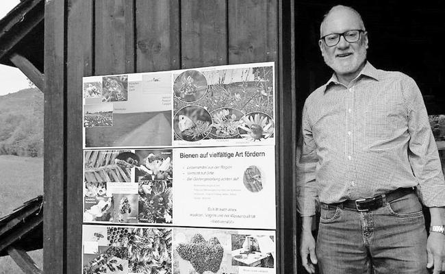 Die faszinierende Welt der Bienen