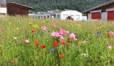 Eine Arbeitszone voller Biodiversität