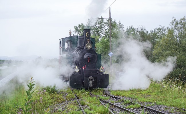 Fahrten mit historischer Lokomotive ins Wiesenrain und zu den Schleienlöchern