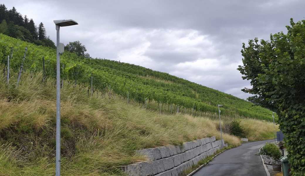 Zwei Rebhänge in Balgach und Berneck durch Rutsche besonders gefährdet