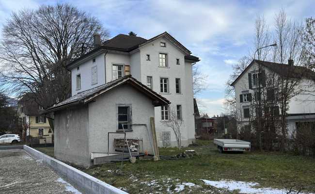 Der widerrechtlich gefällte Baum muss ersetzt werden